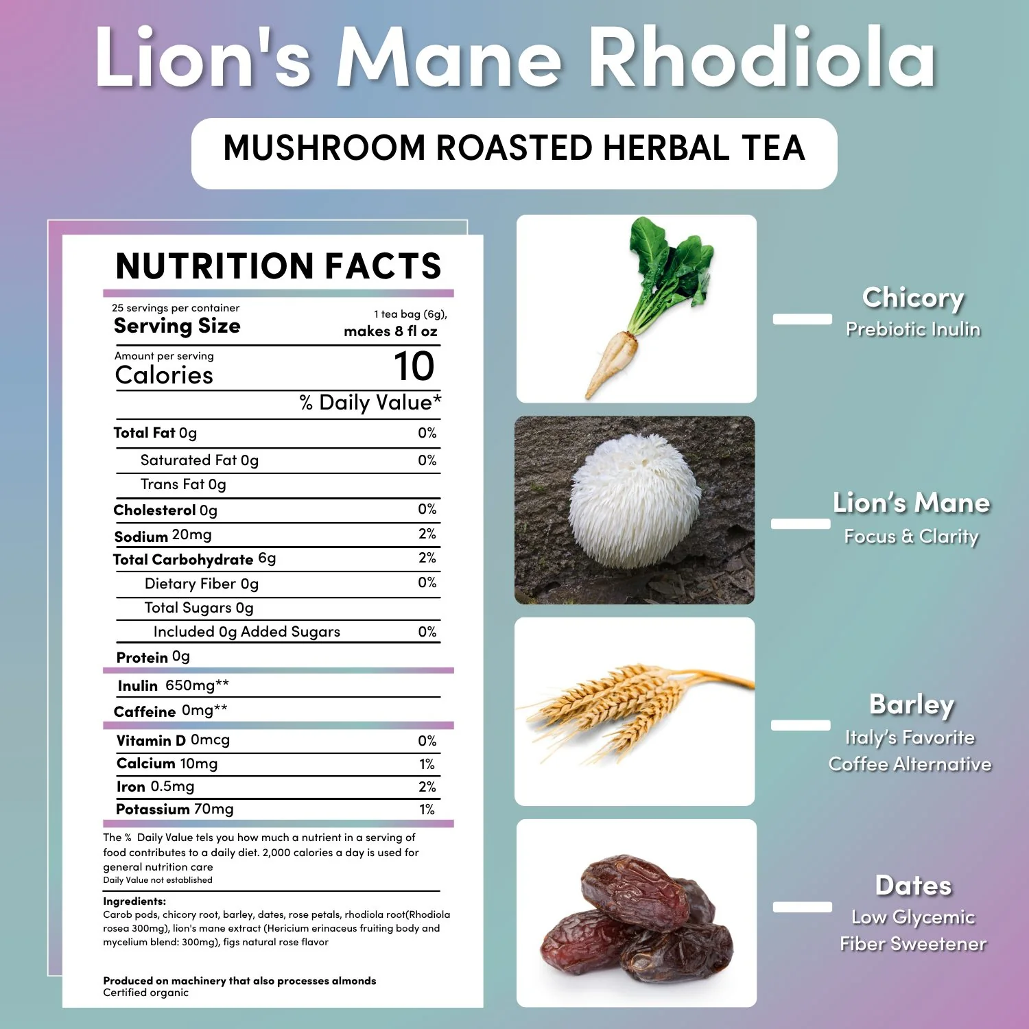 Lion's Mane Rhodiola Rose Mushroom Herbal Tea - Image 14