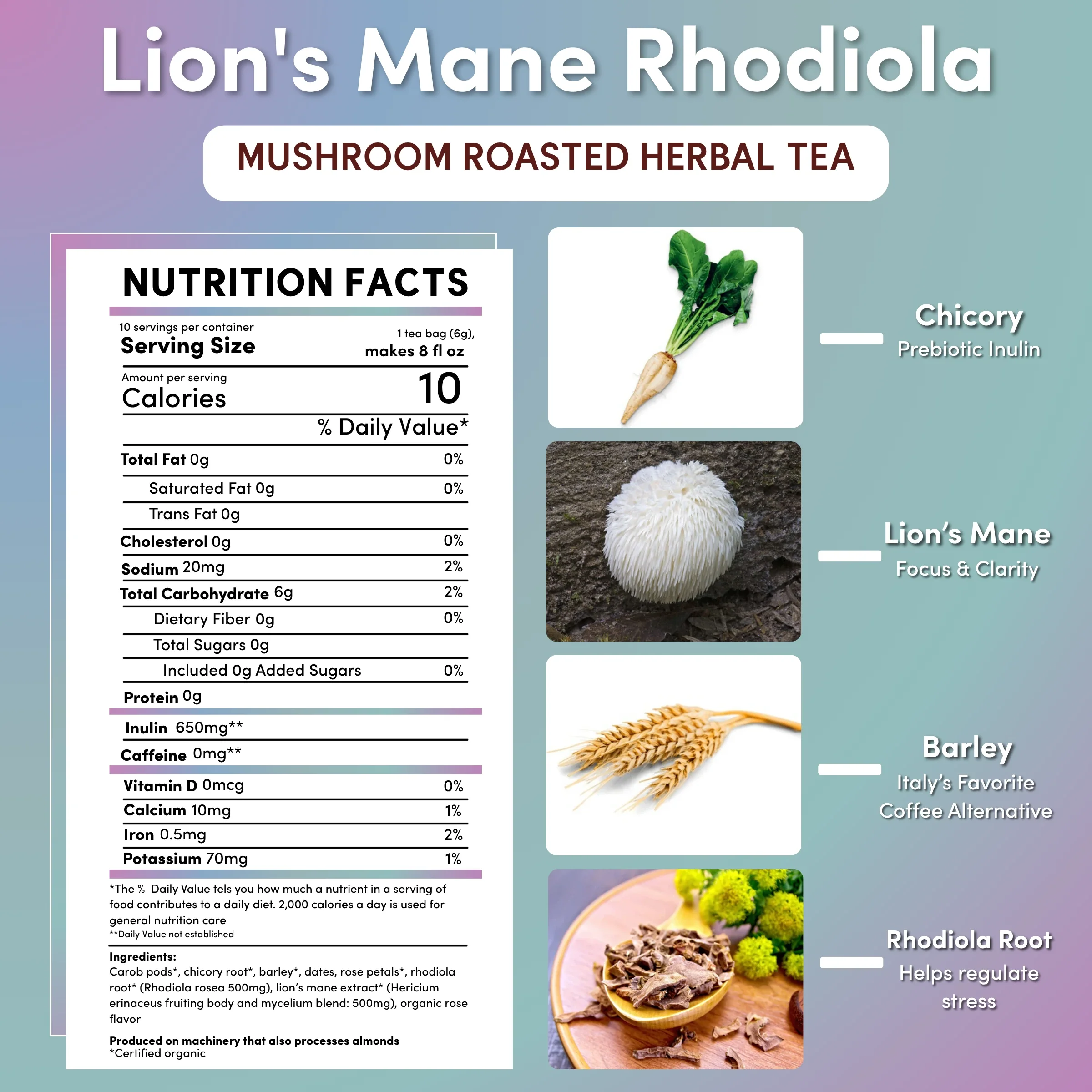 Lion's Mane Rhodiola Rose Mushroom Herbal Tea - Image 27