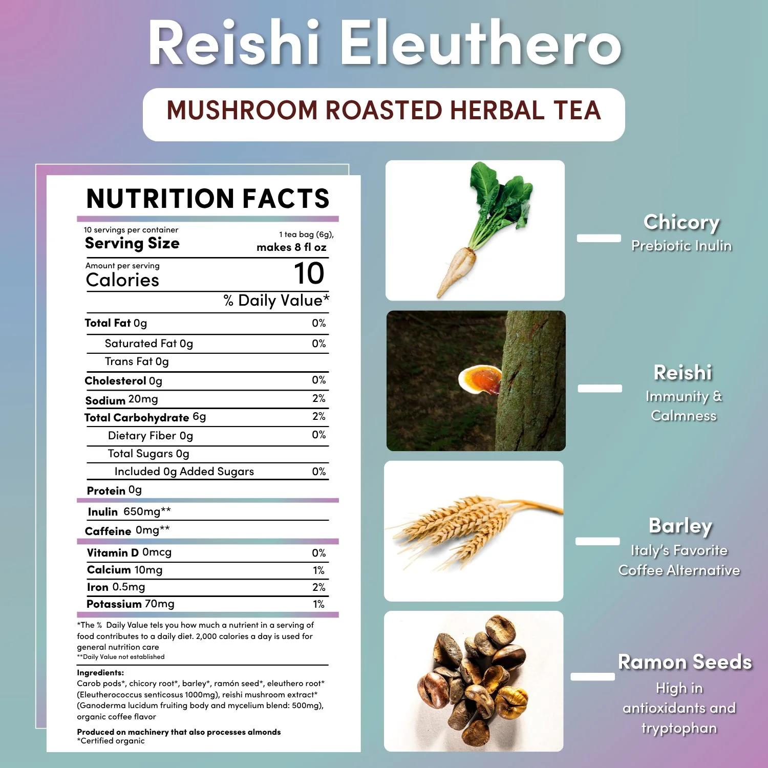 Reishi Eleuthero French Roast Mushroom Herbal Tea - Image 17