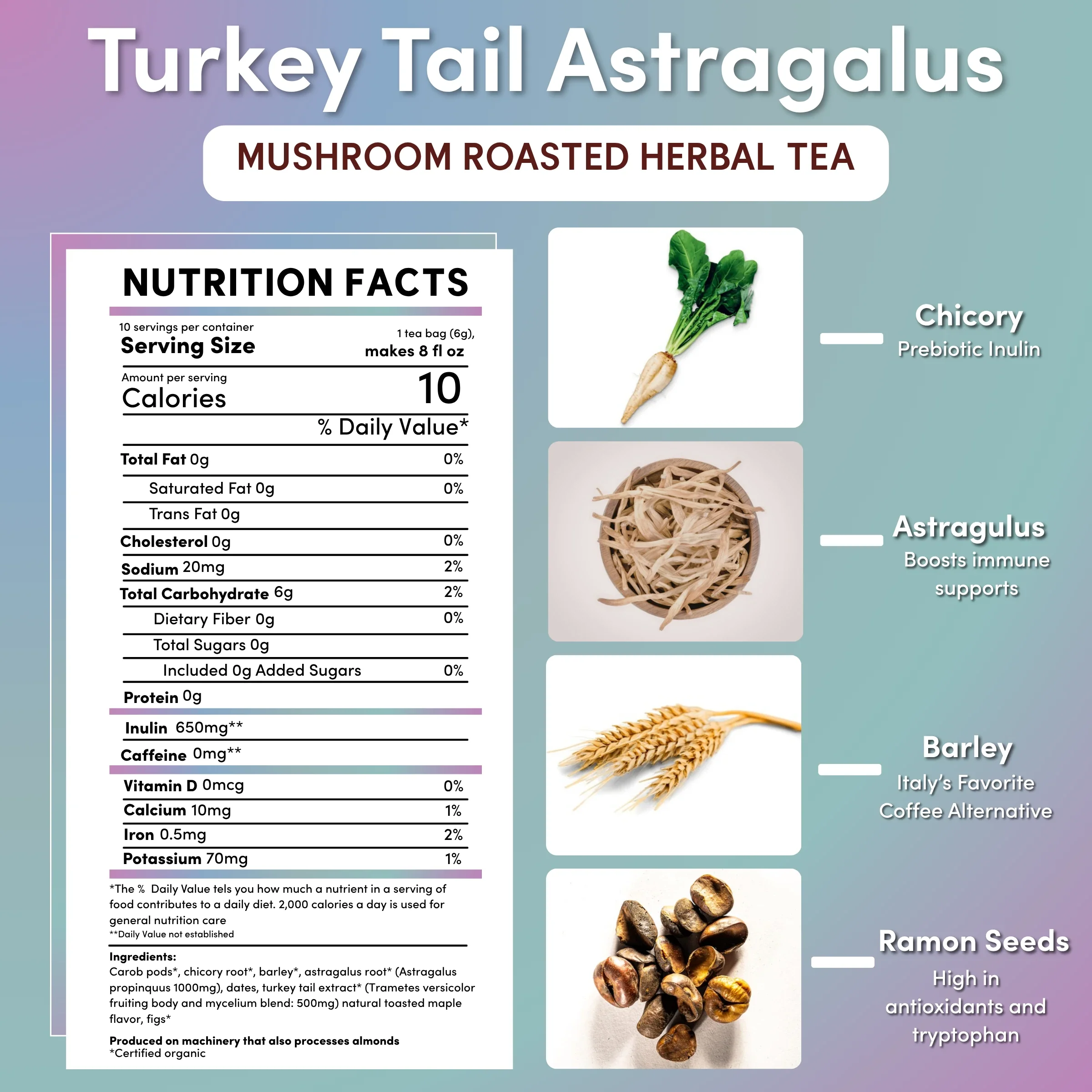 Turkey Tail Astragalus Toasted Maple Mushroom Herbal Tea - Image 15
