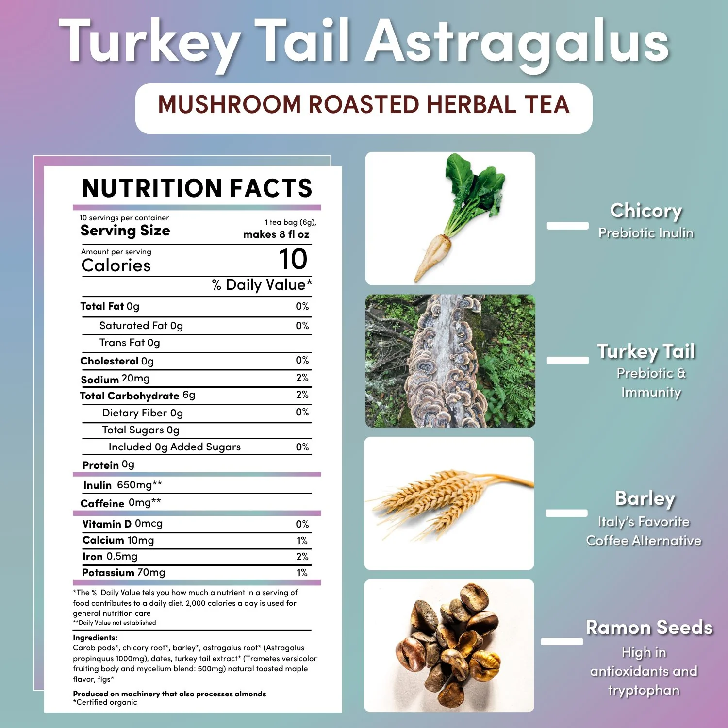 Turkey Tail Astragalus Toasted Maple Mushroom Herbal Tea - Image 9
